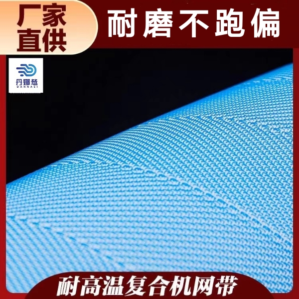 復(fù)合機網(wǎng)帶生產(chǎn)廠家